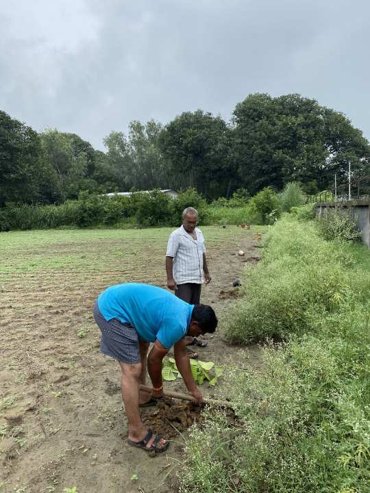 A volunteer planting a native sapling at the farm near Dakor