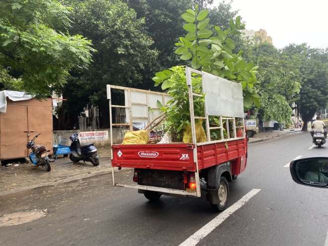 Saplings loaded on a tempo for the journey to the farm